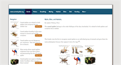 Desktop Screenshot of camelspider.org