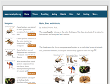 Tablet Screenshot of camelspider.org